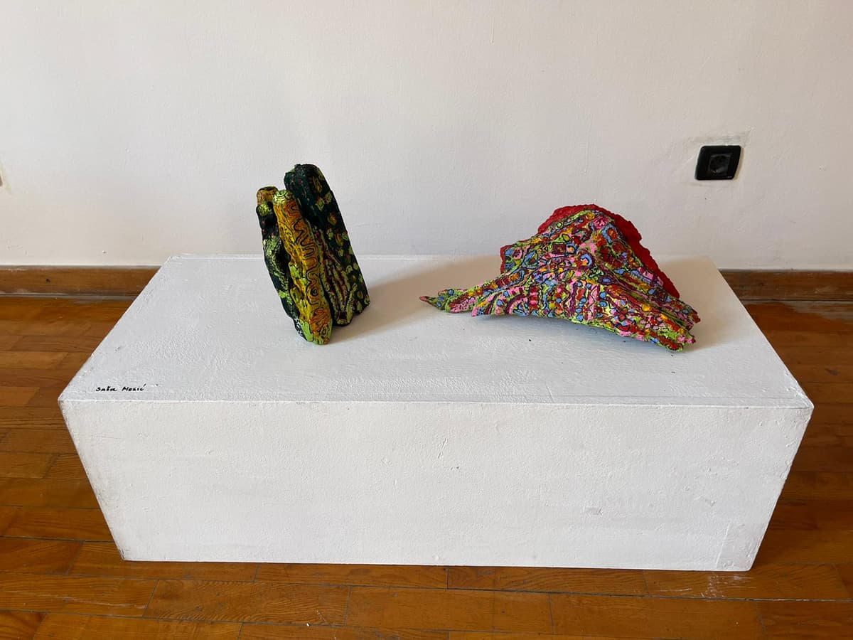 Boja žeđi / Colour Thirsts — Saša Mesić exhibition