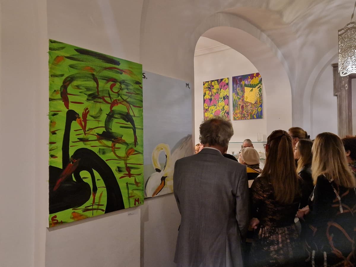 Kiša put Papuka / Rain on the Way to Papuk — exhibition photo 6